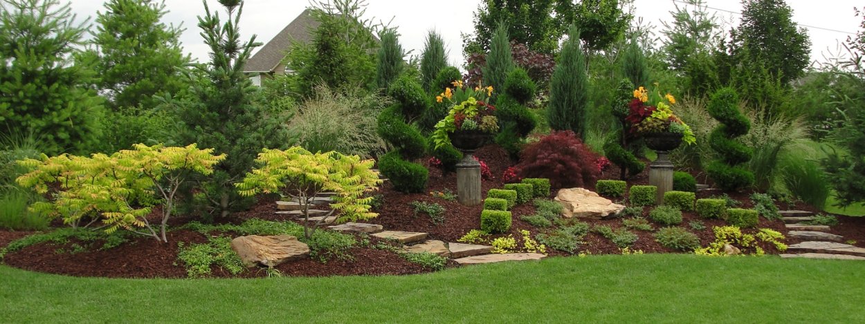 Хвойный сад на 6 сотках