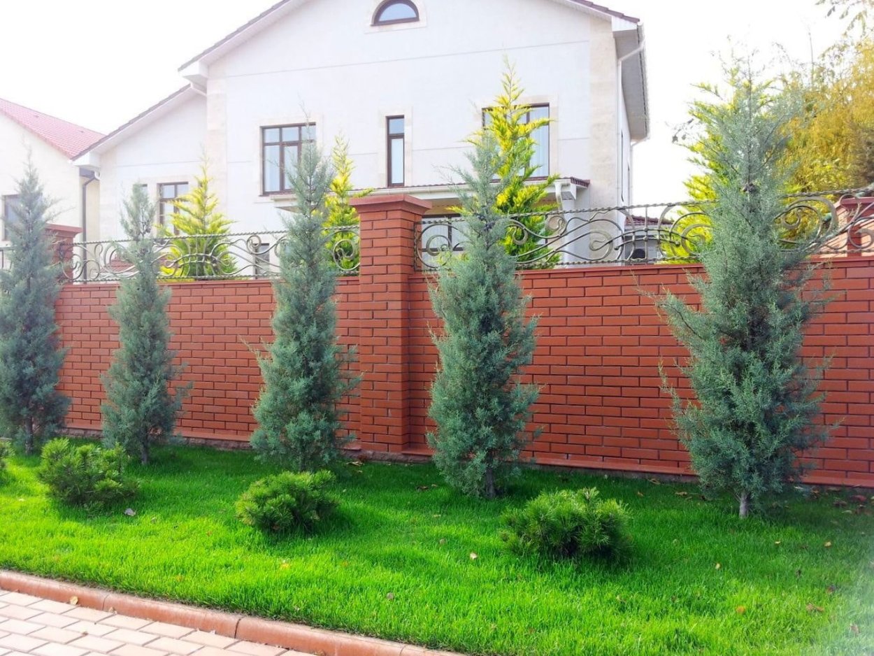 Ландшафт перед забором туя Смарагд и