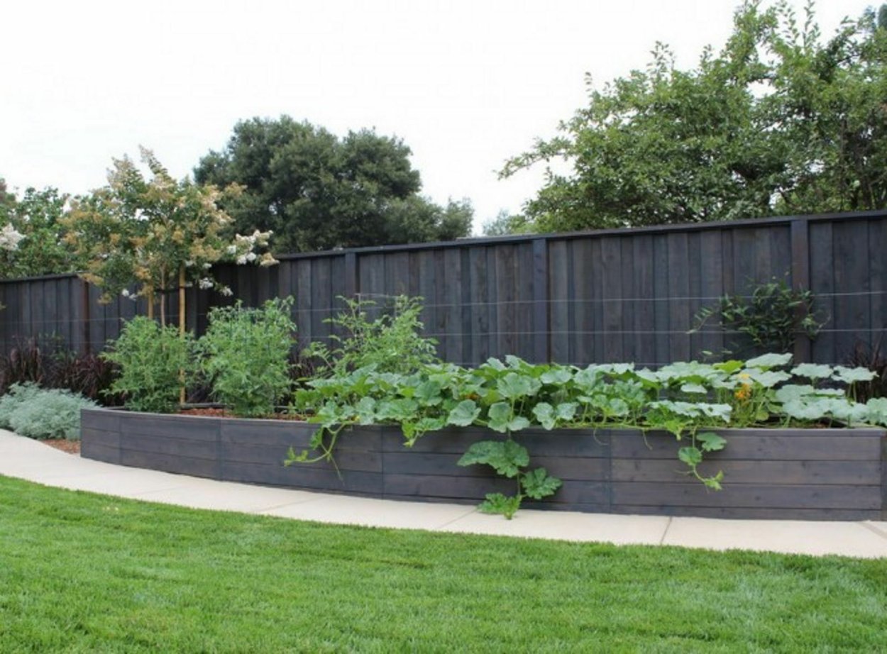 Огород вдоль забора