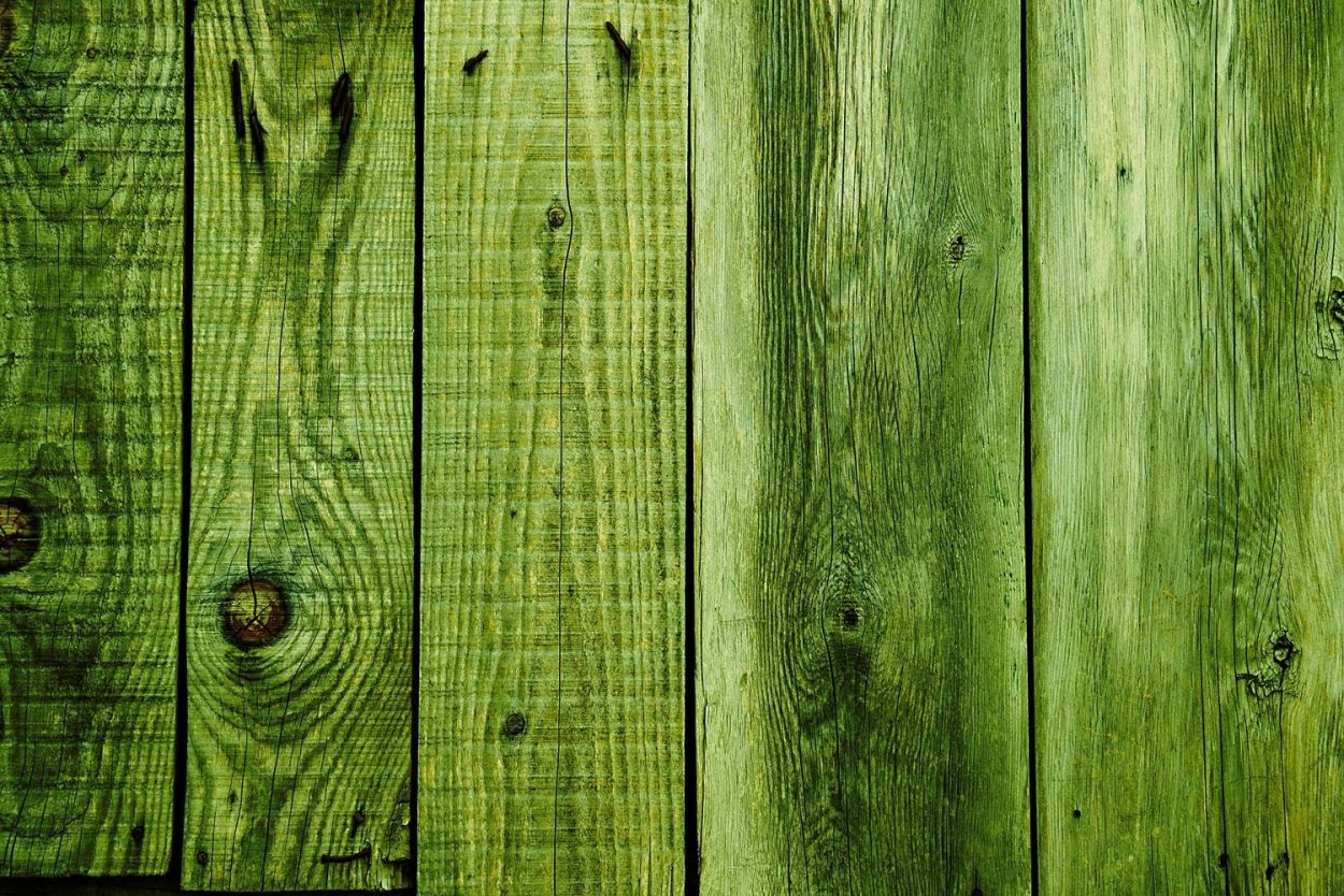 Фактура дерева