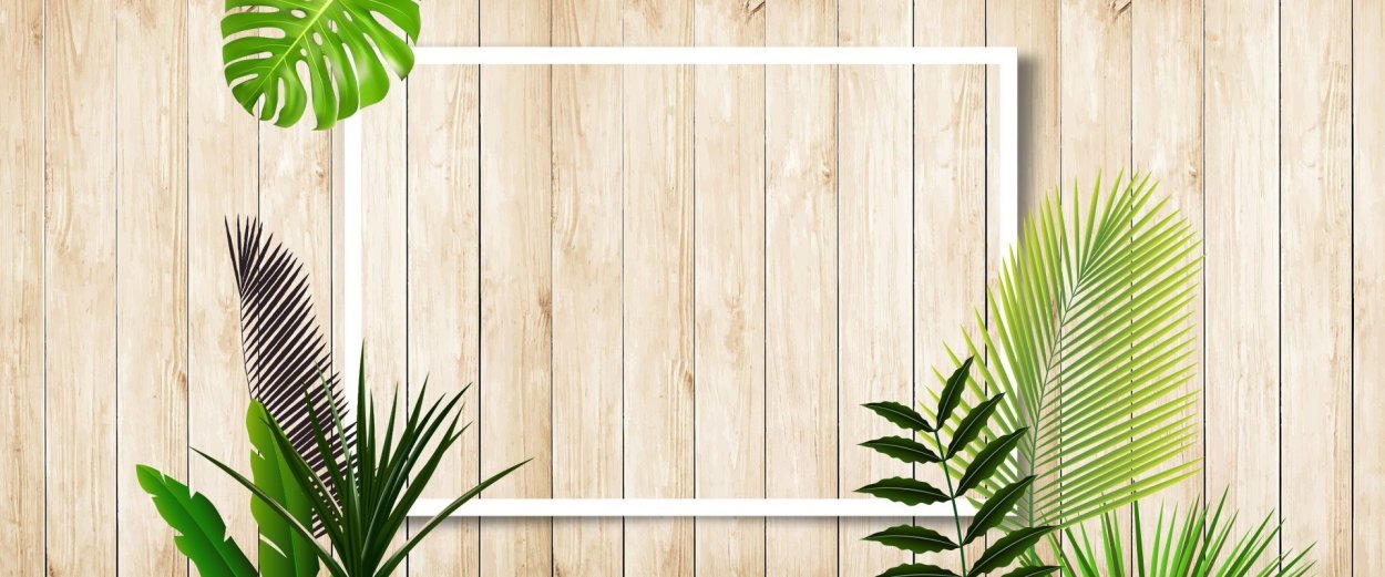 Тропические листья на деревянном фоне