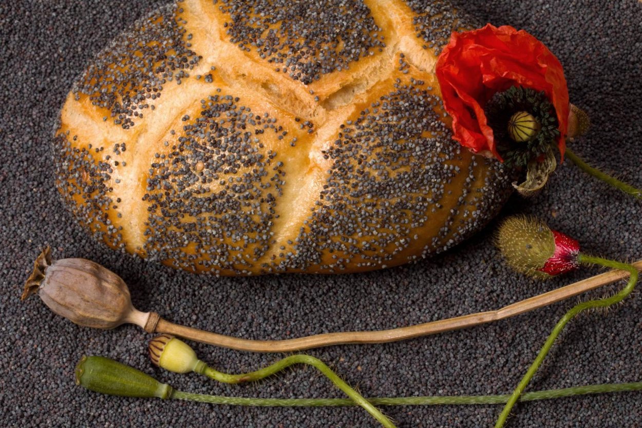 Мак съедобный