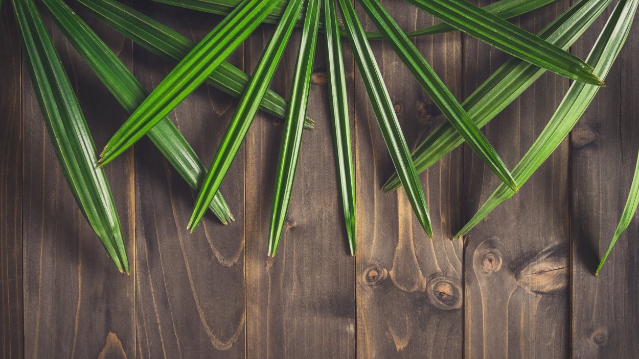 Деревянный фон