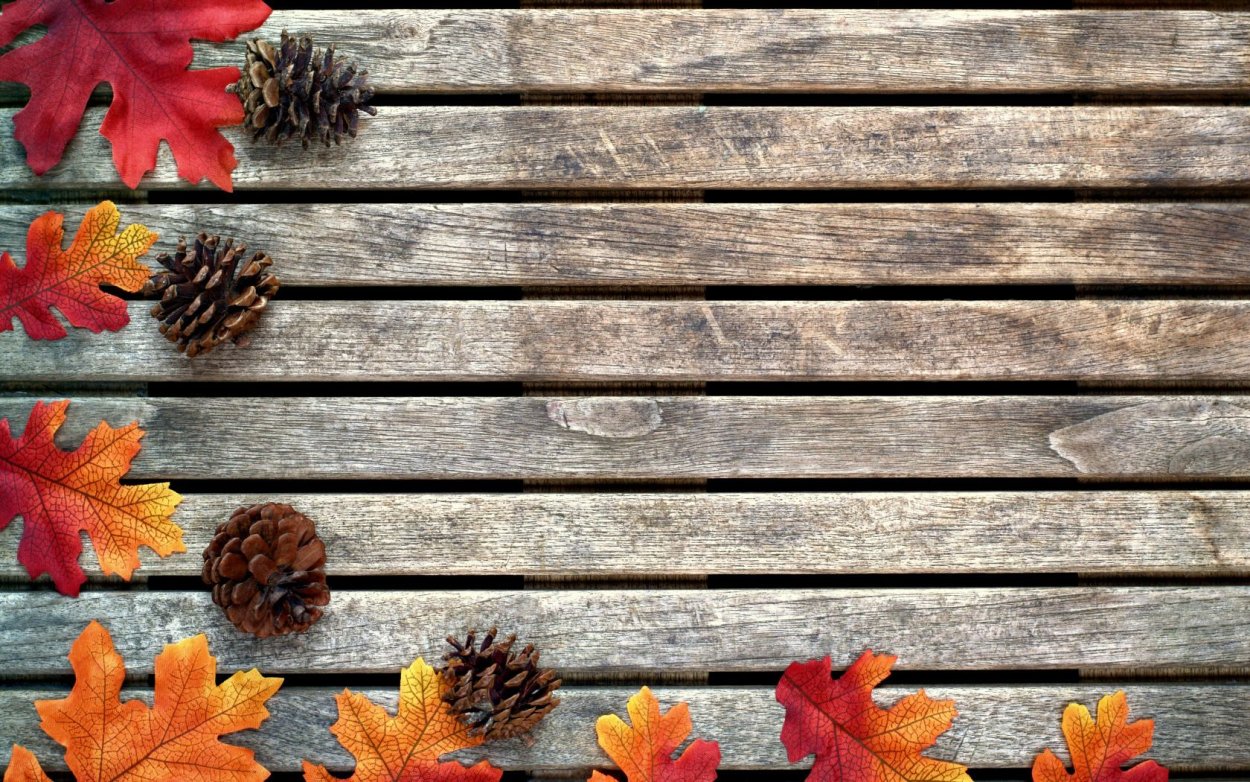 Осенние листья фон