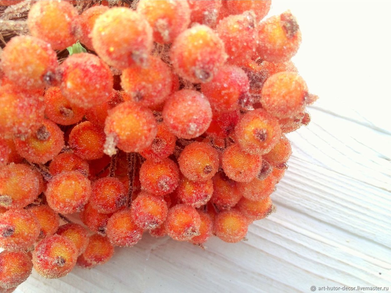 Кумкват гонконгский