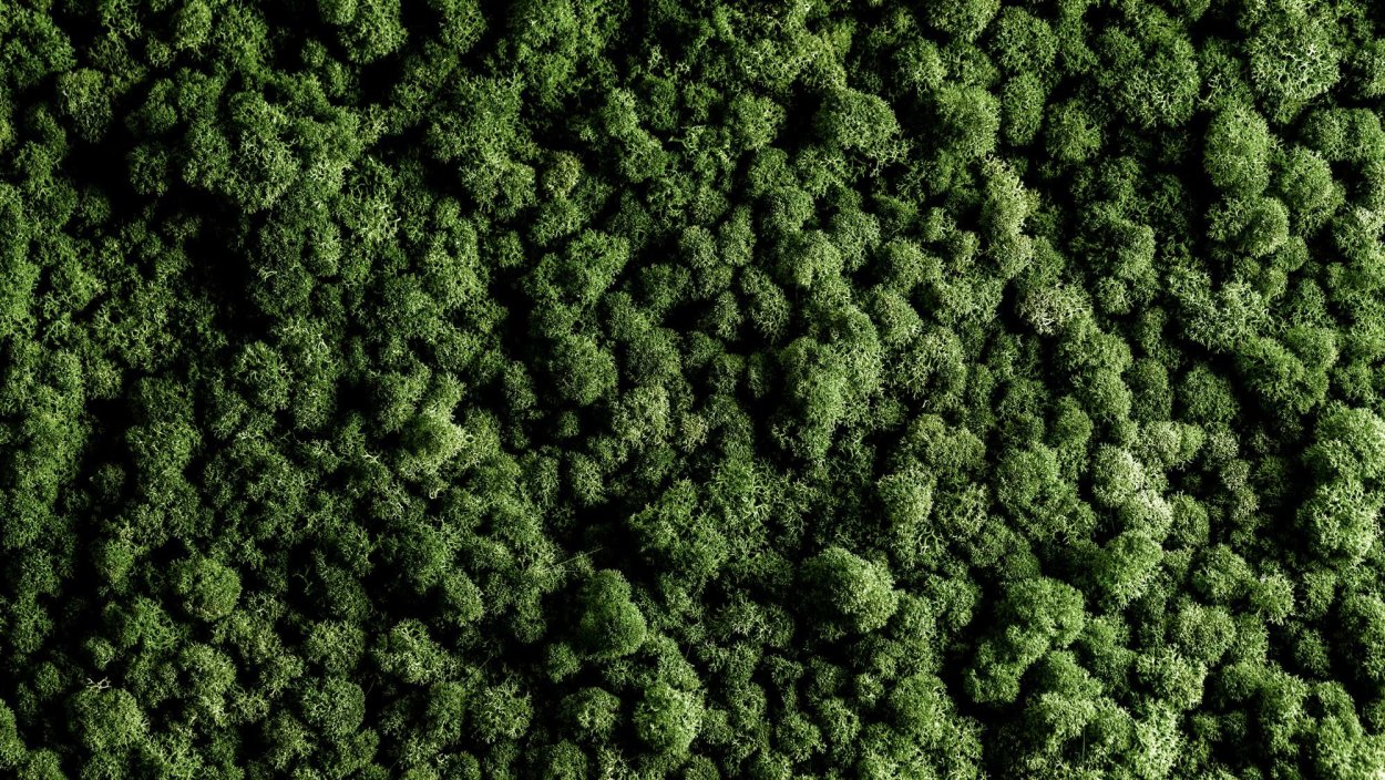 Искусственный мох фактура