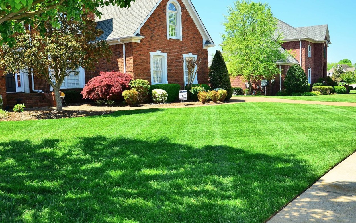 Ландшафт коттеджа