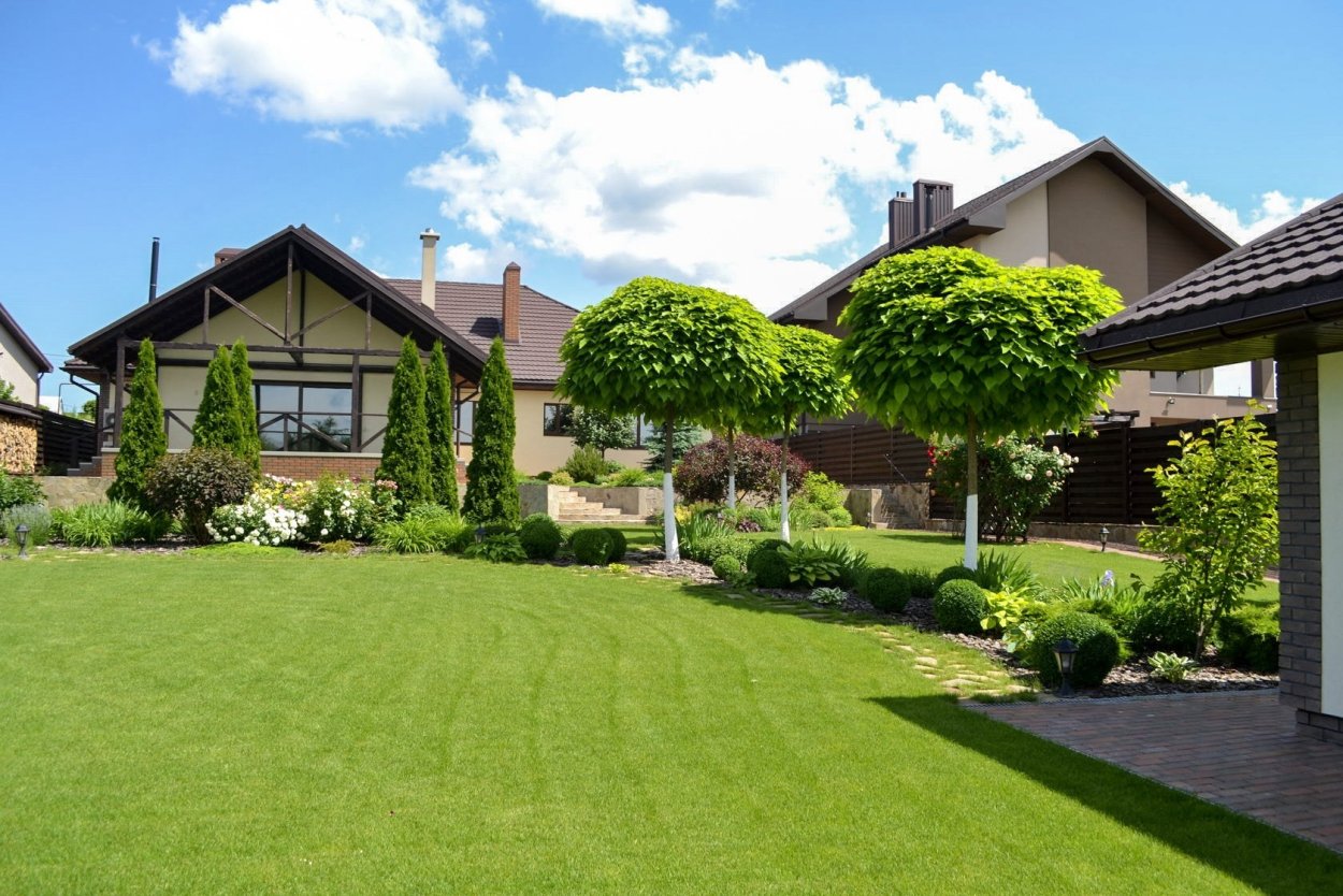 Американский задний двор