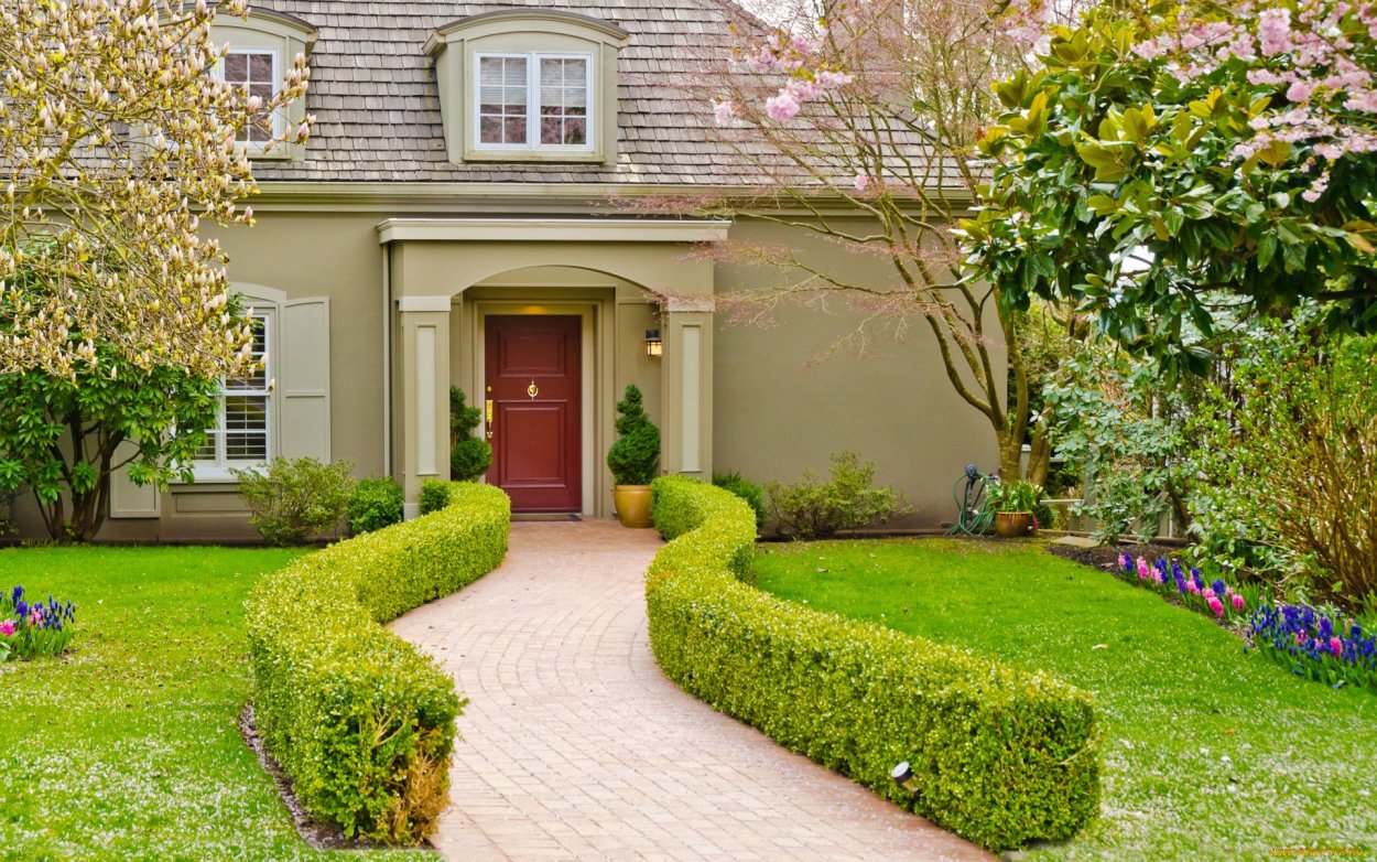 Деревья во дворе