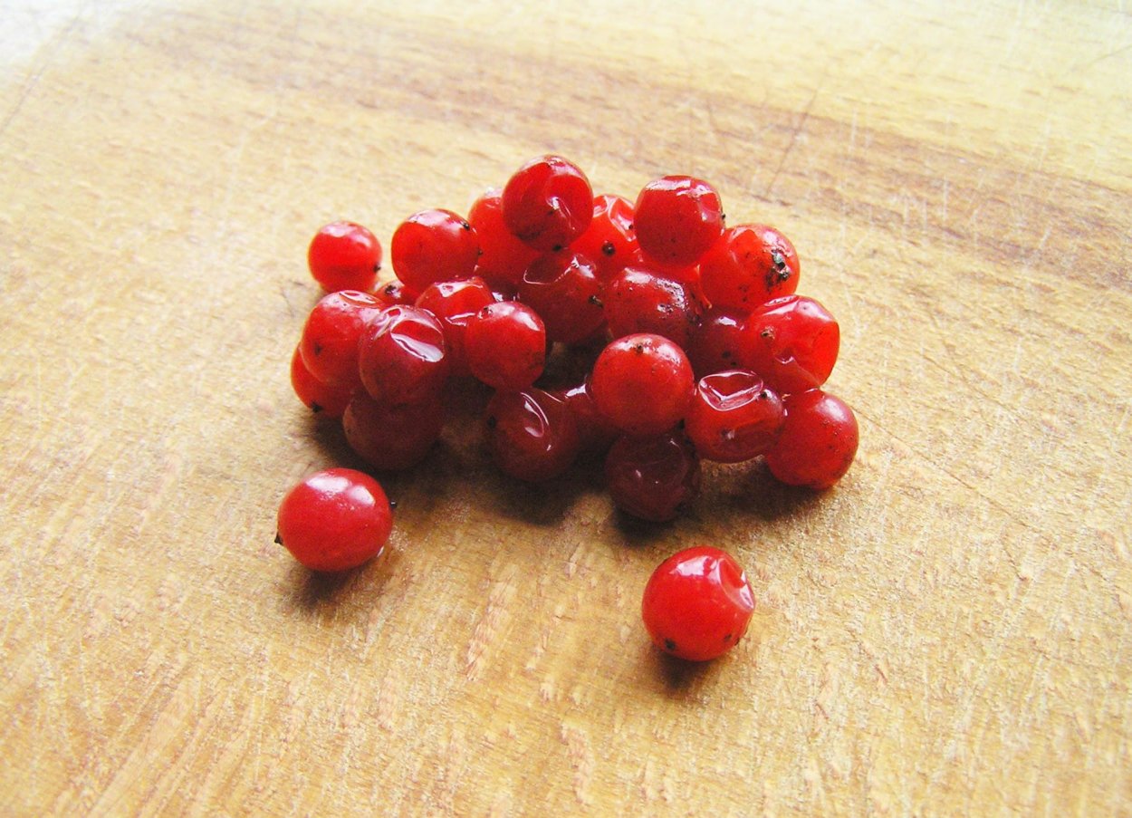 Калина ягода косточки