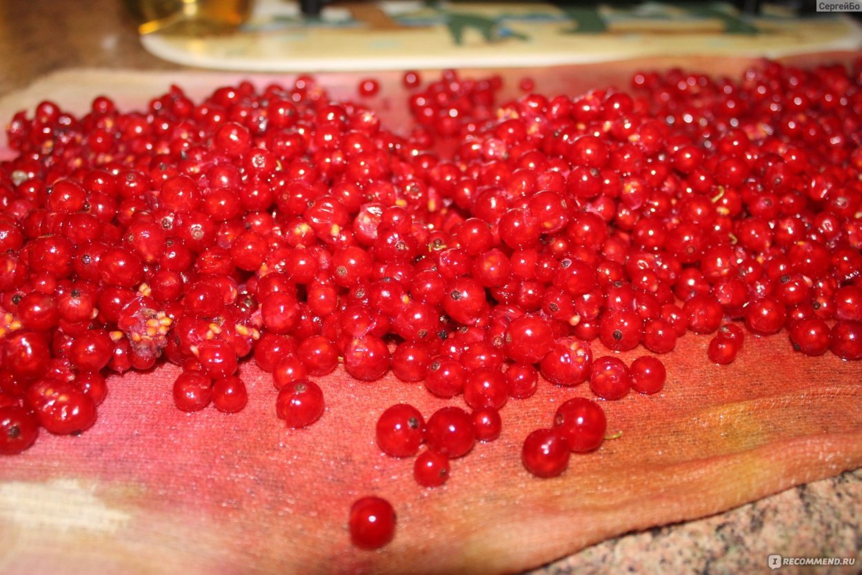 Красная смородина косточки