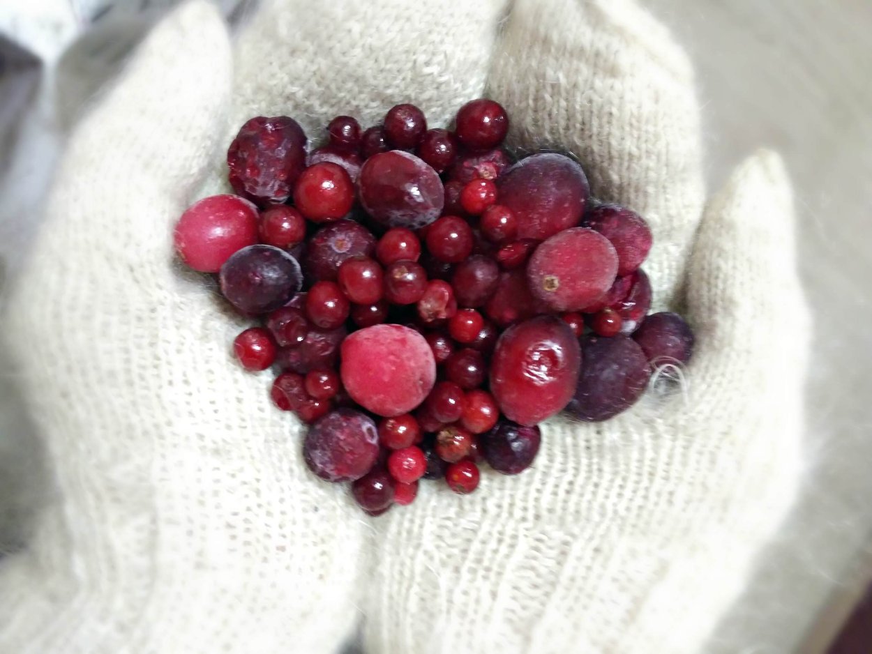 Кизил ягода