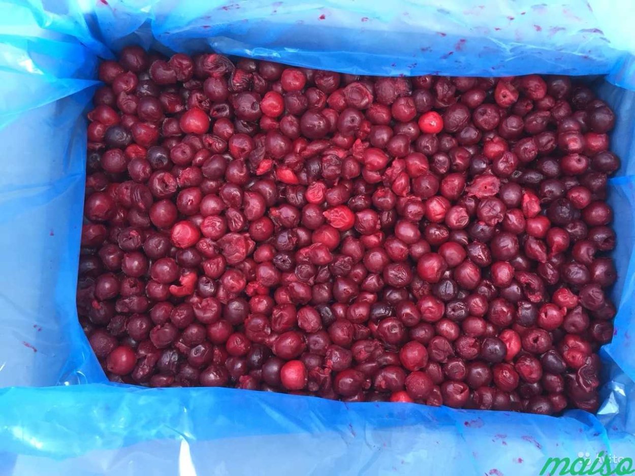 Вишня без косточки 10кг Македония