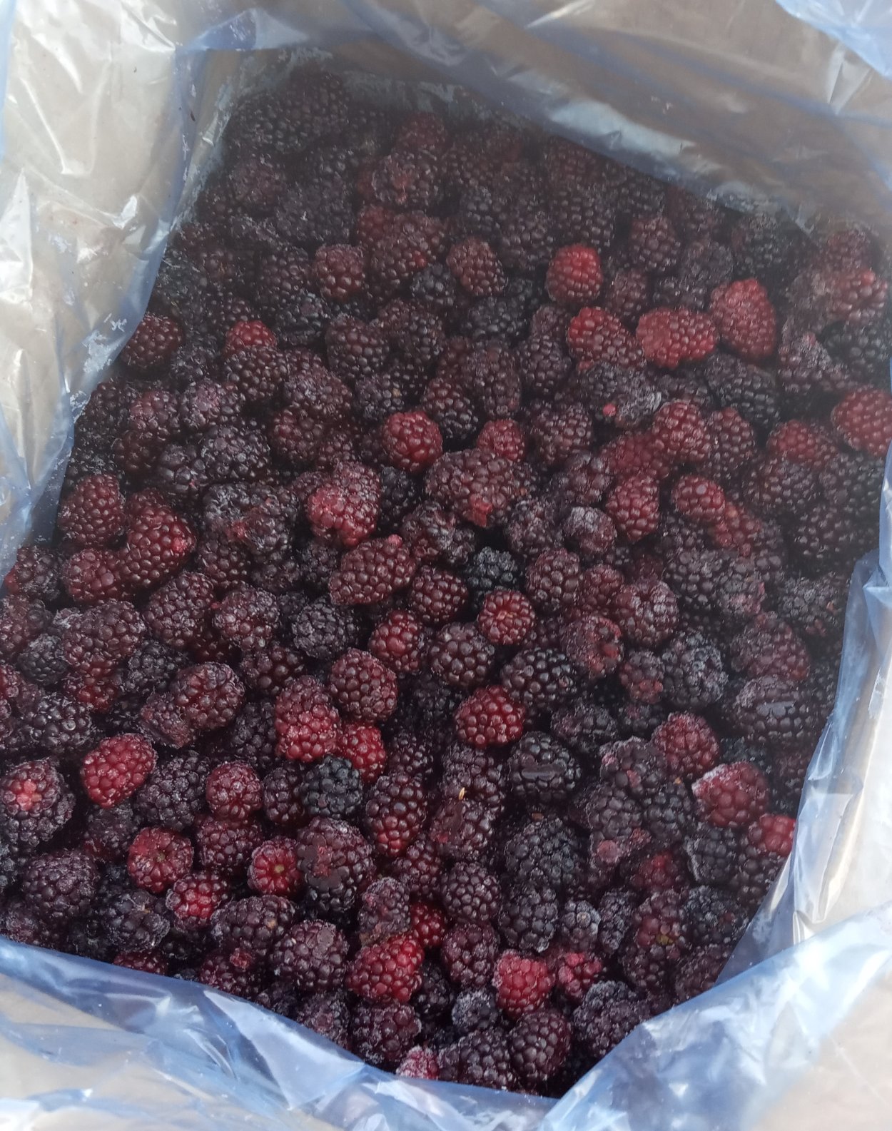 Ежевика замороженная