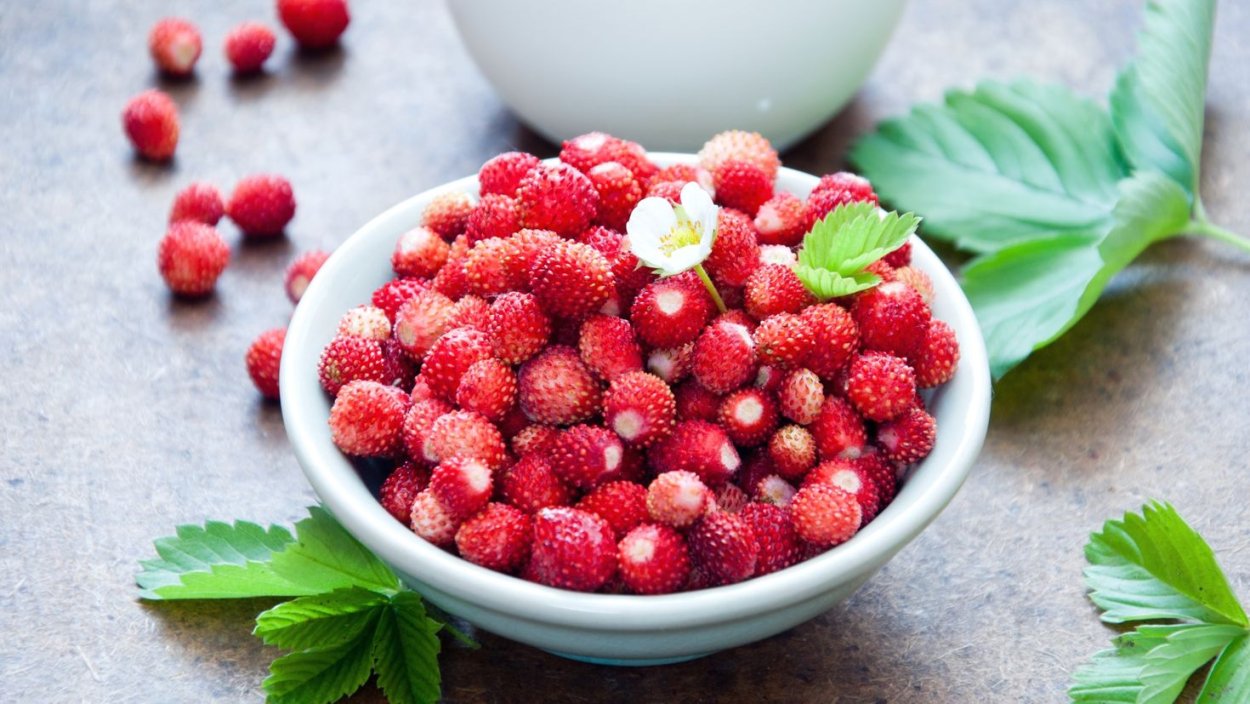 Ягода земляника