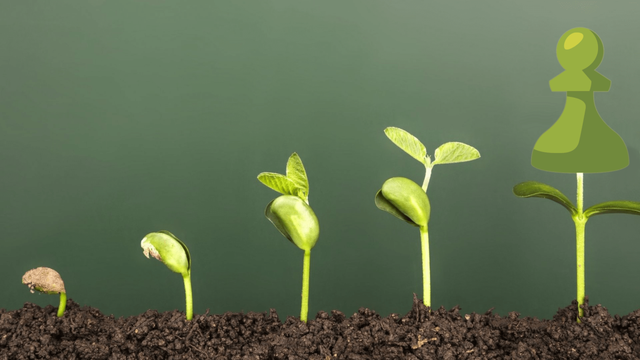 Рост растений