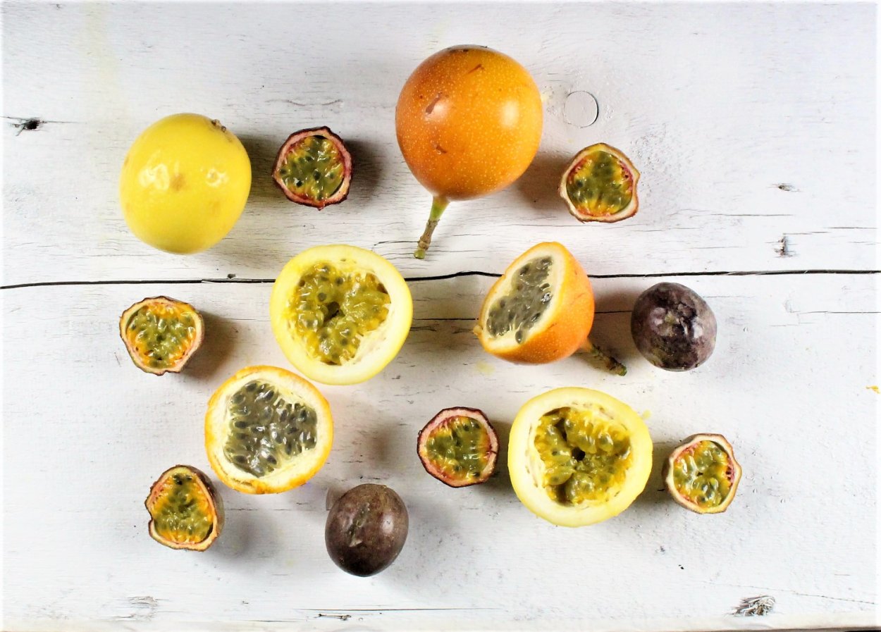 Проросток семени редиса