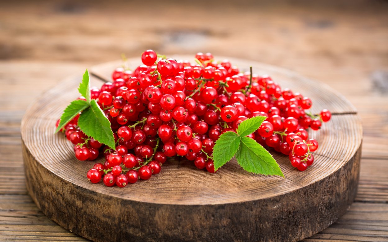 Смородина красная