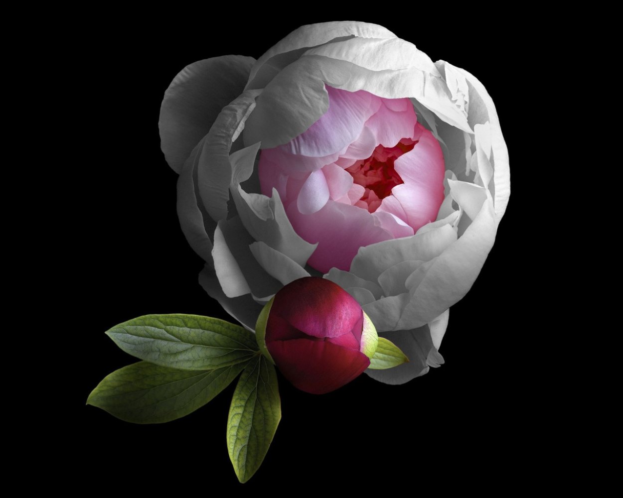 Ксавье Мартинес пион