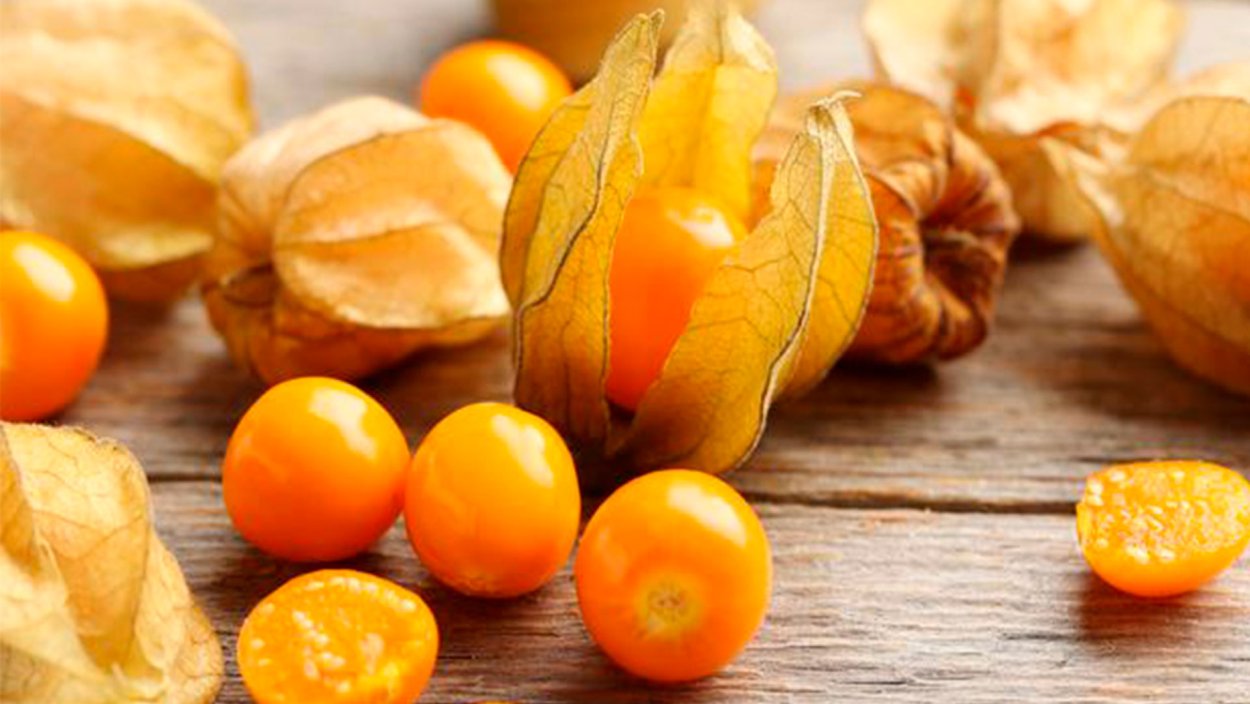 Урюк курага и Кайса