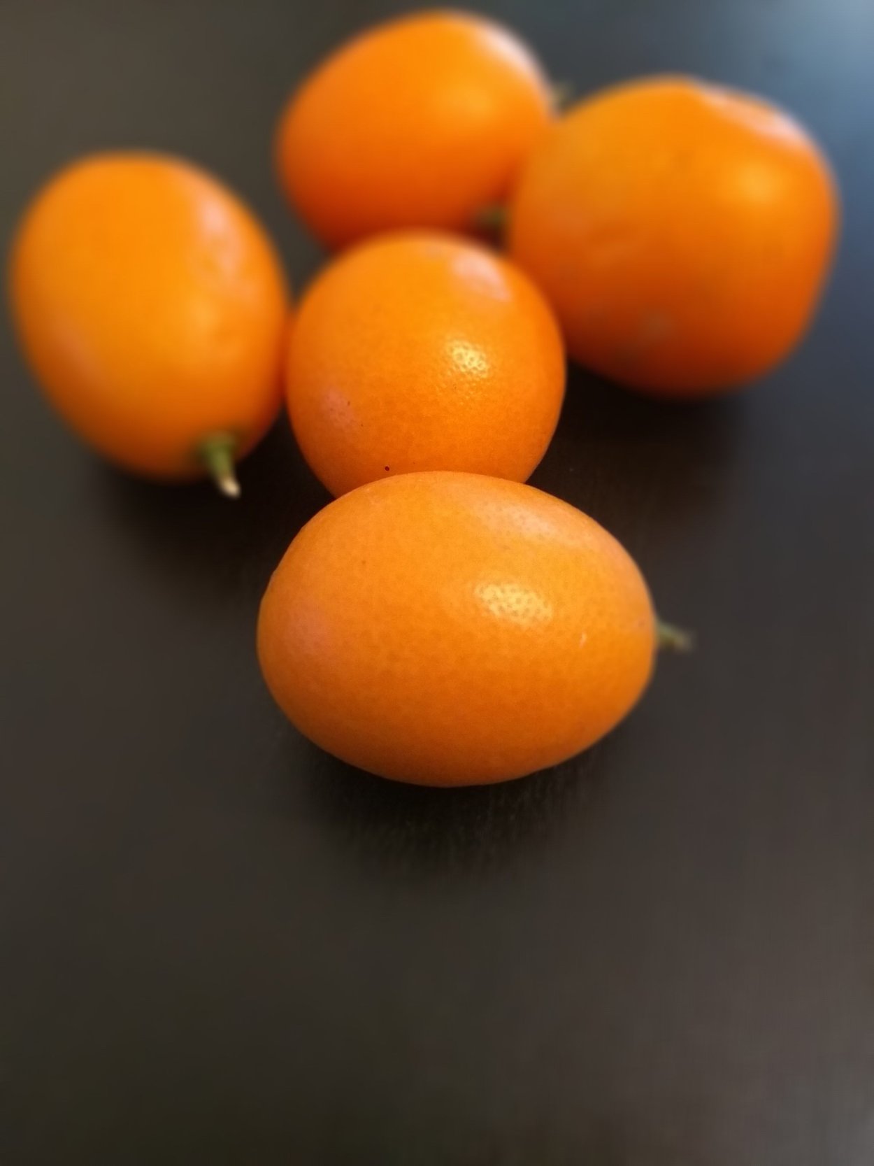 Мушмула Танака (3 года)