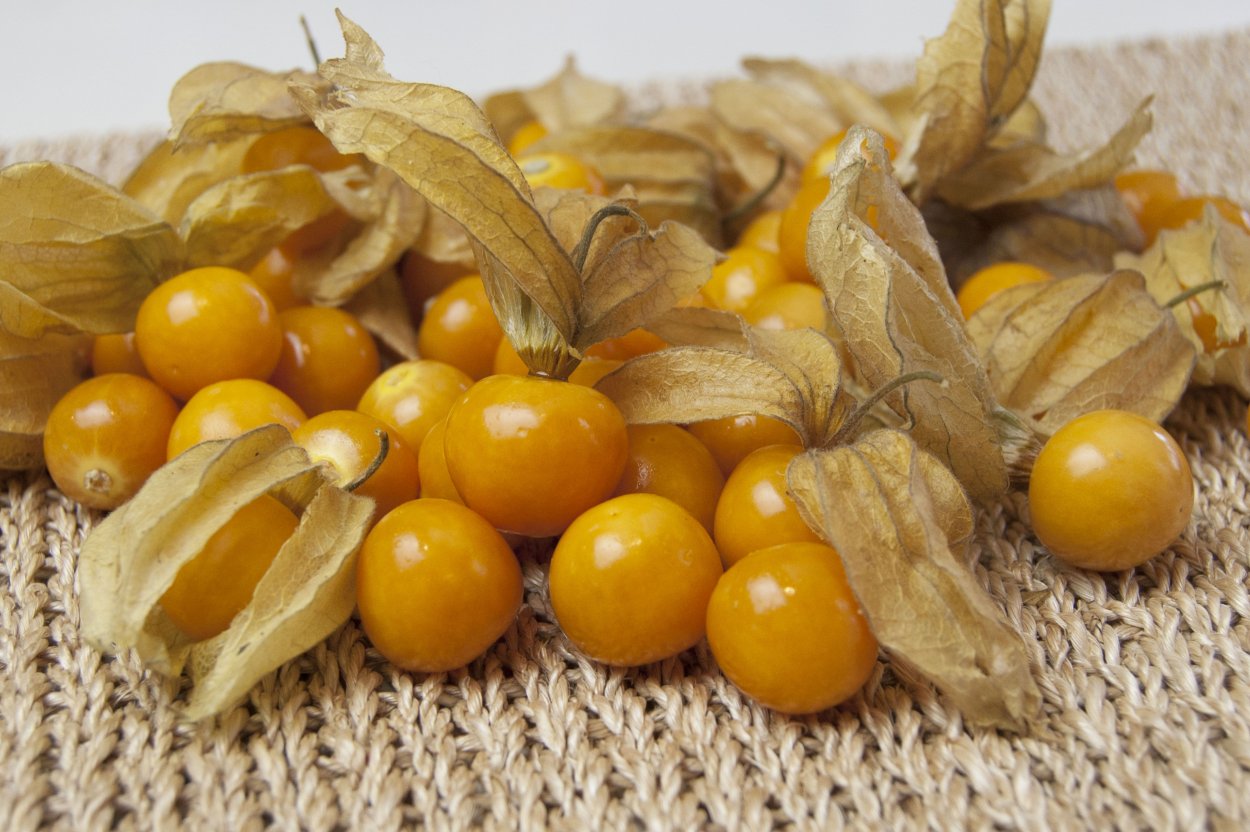 Apricots – абрикосы