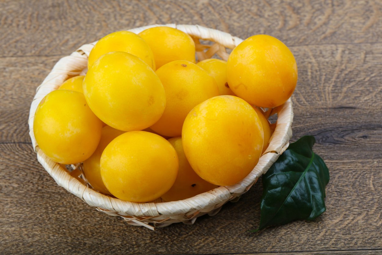 Физалис картинки