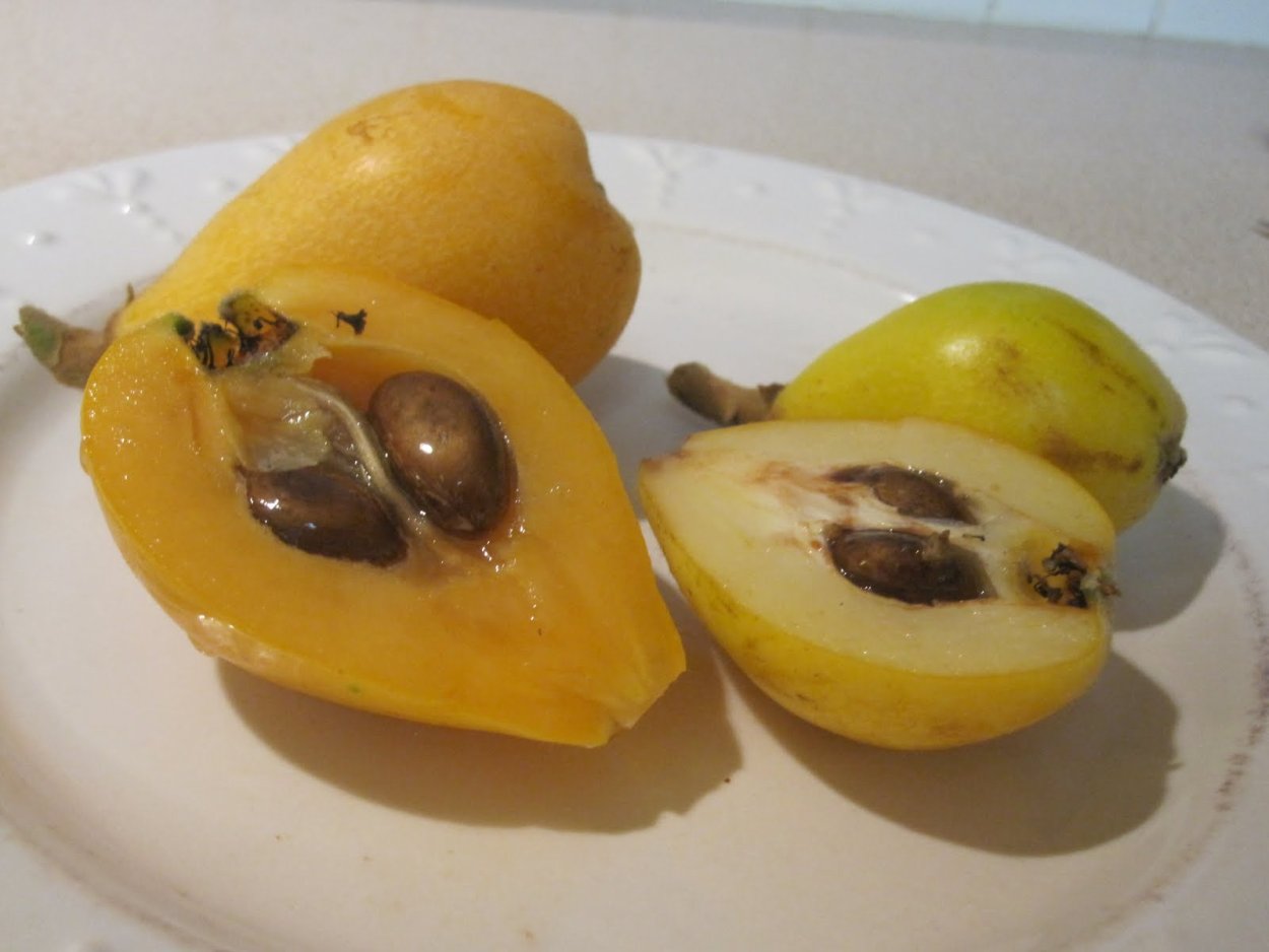 Желтая ягода