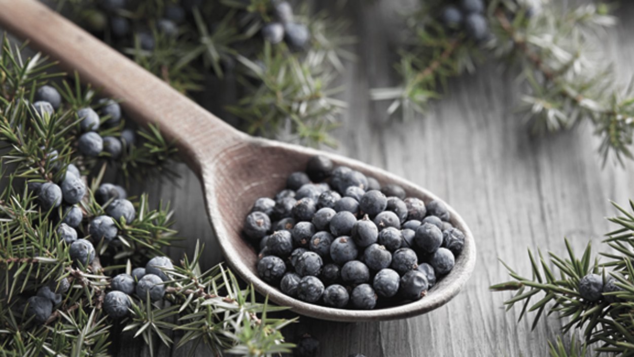 Можжевельник плоды