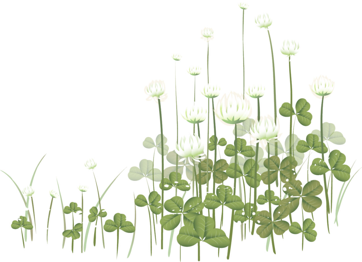 Луговые травы на белом фоне