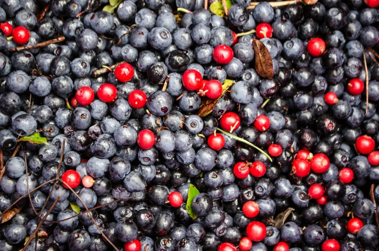 Расшивала ягода