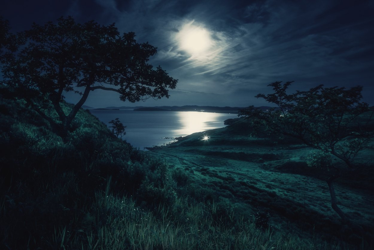 Ночь море лес