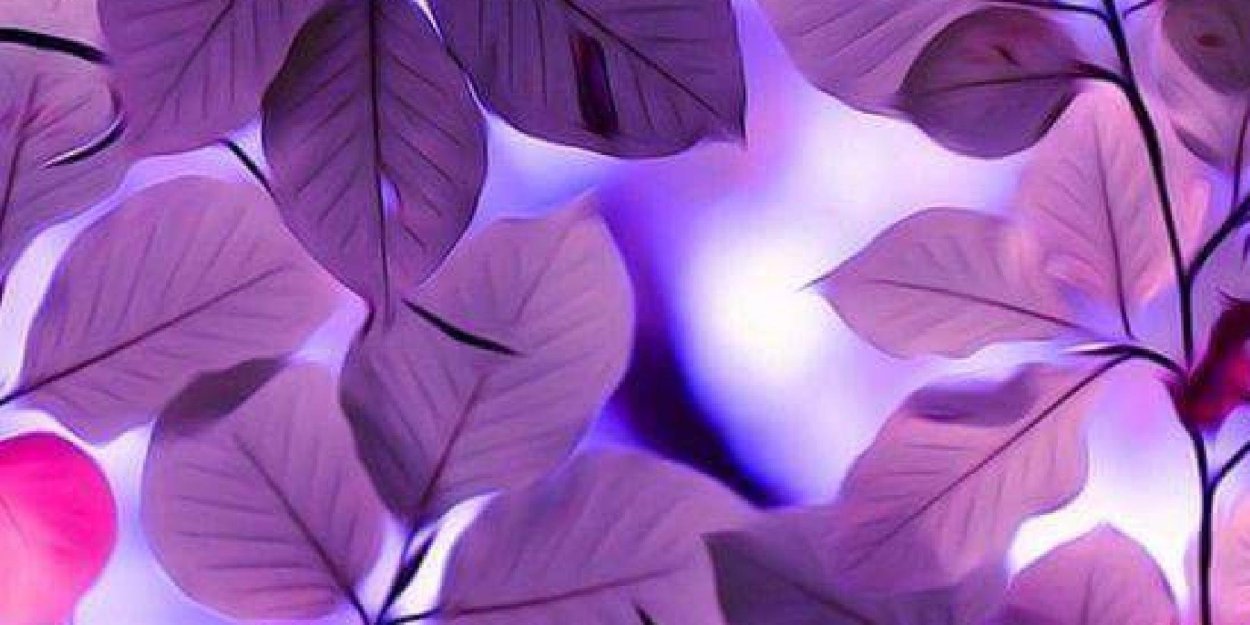 Осенние листья