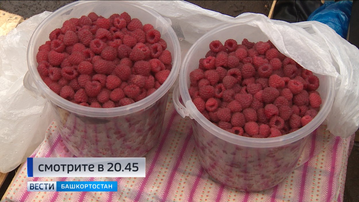 Земляника Полевая и Лесная земляника