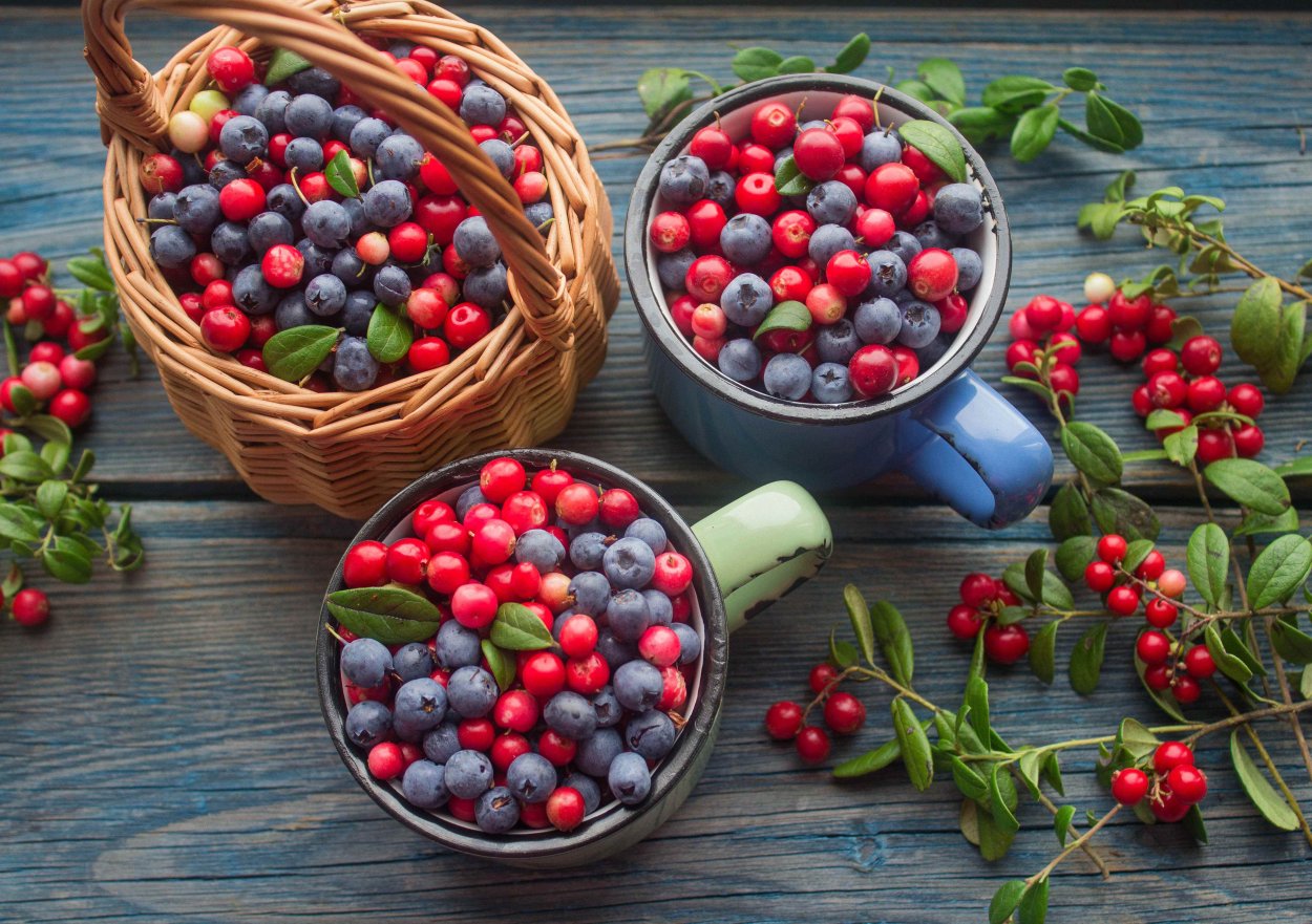 Земляника Лесная 0,5