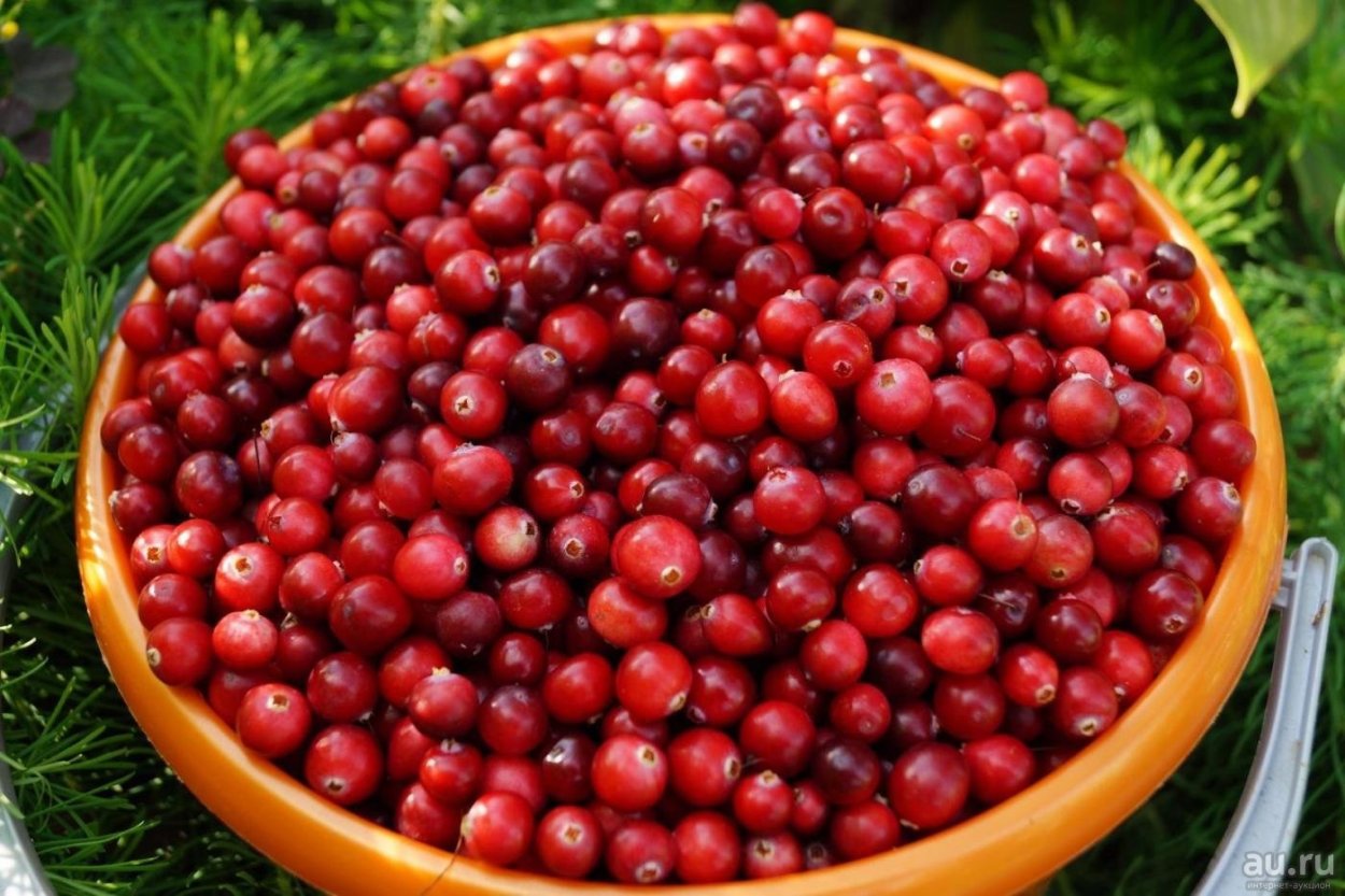 3 Литра клубники