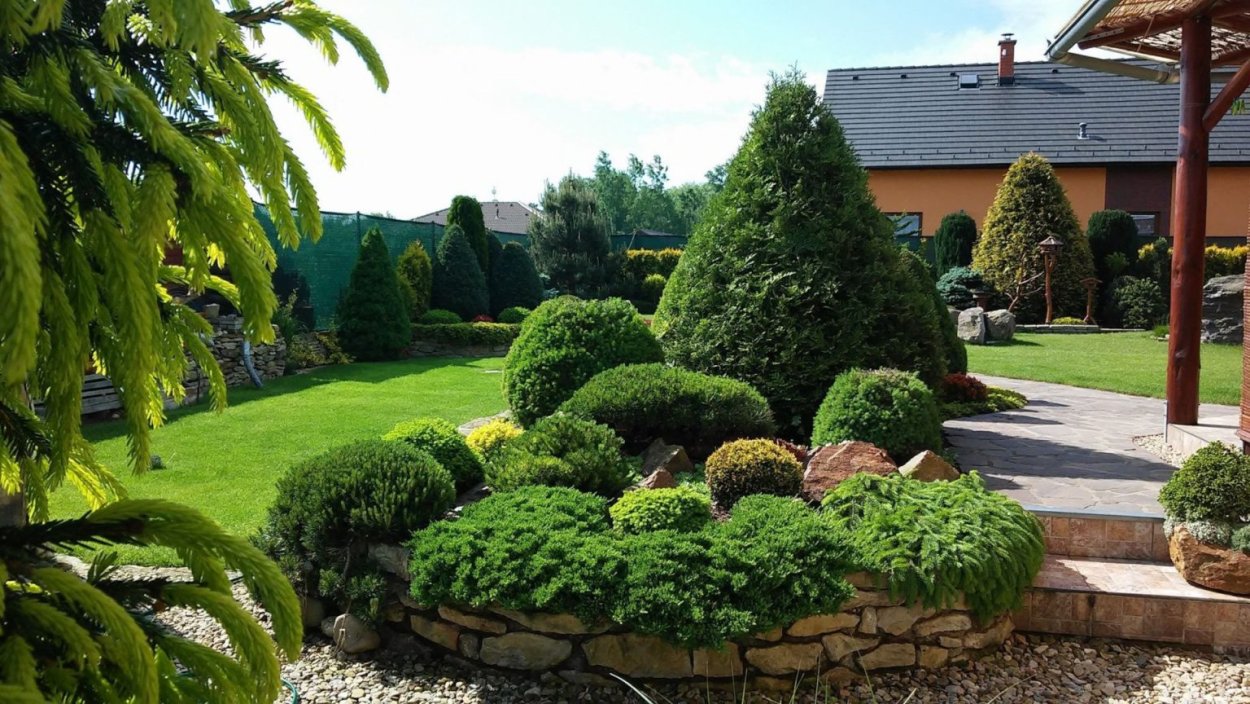 Рокарий с хвойными