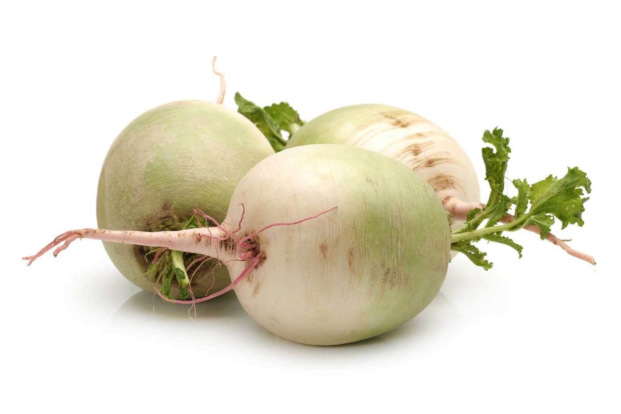 Корнеплод репа морковь редис