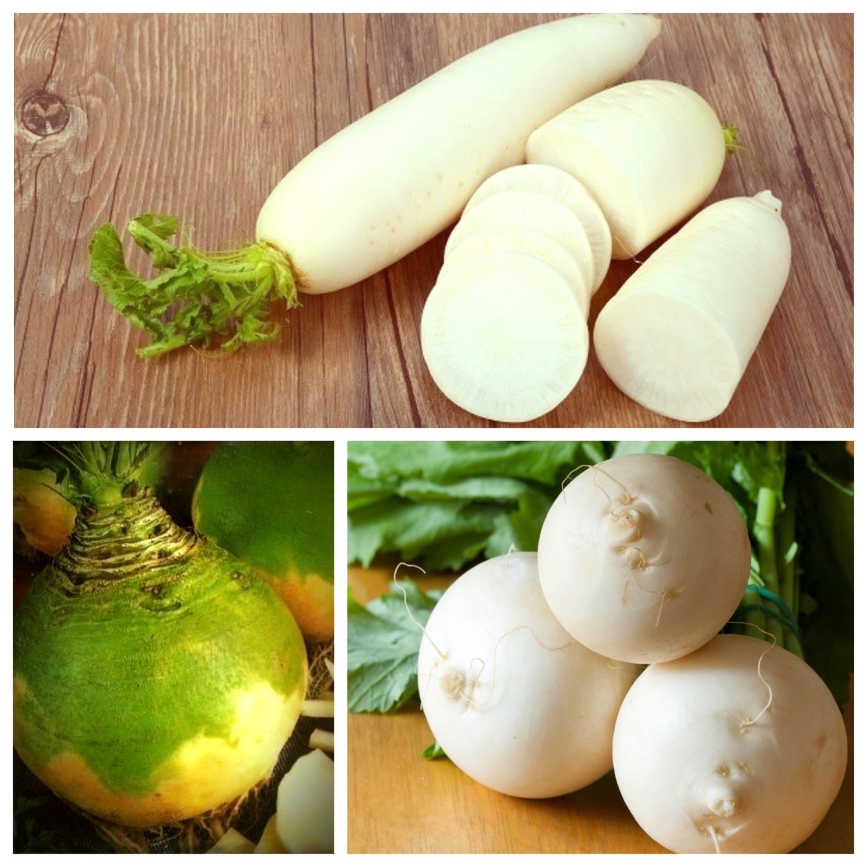Редька и свекла