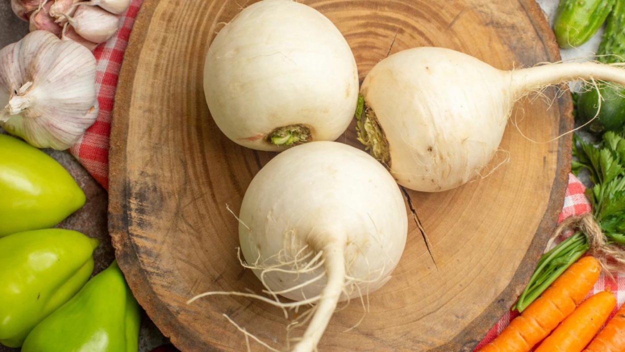 Редька дайкон репа брюква