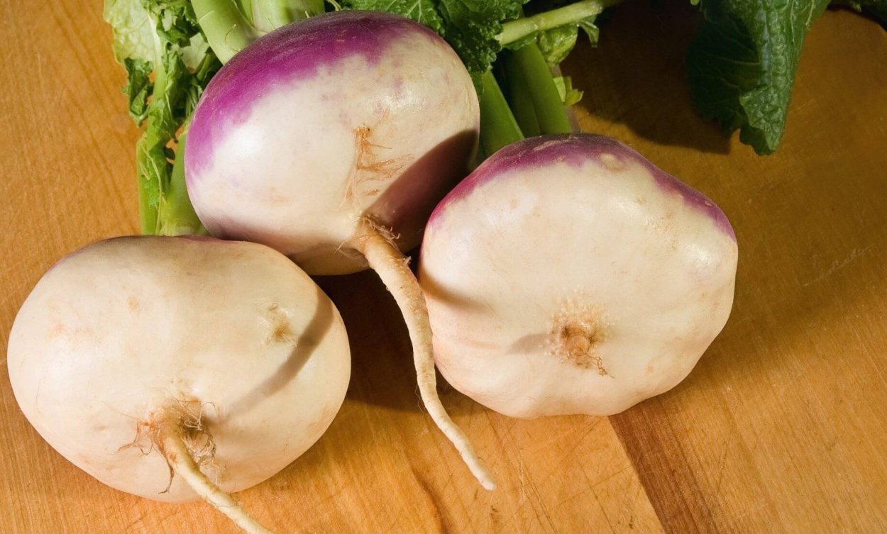 Сорта редьки дайкон