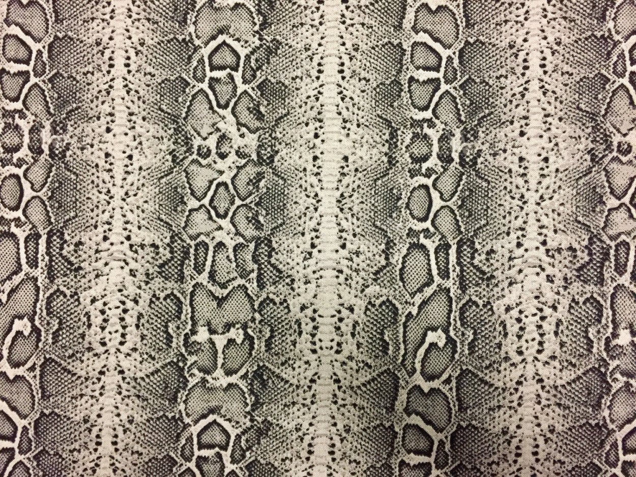 Узоры на шкуре змеи