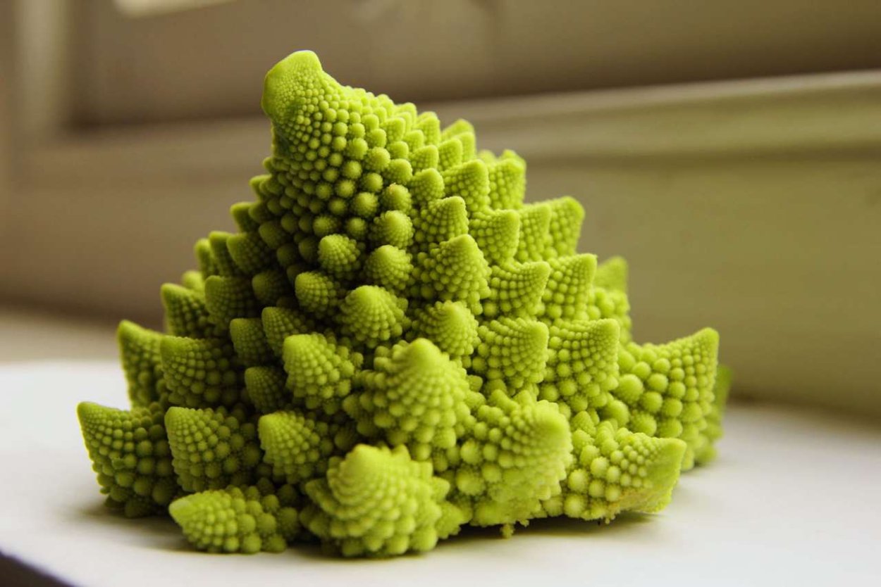 Фрактал капуста романеско