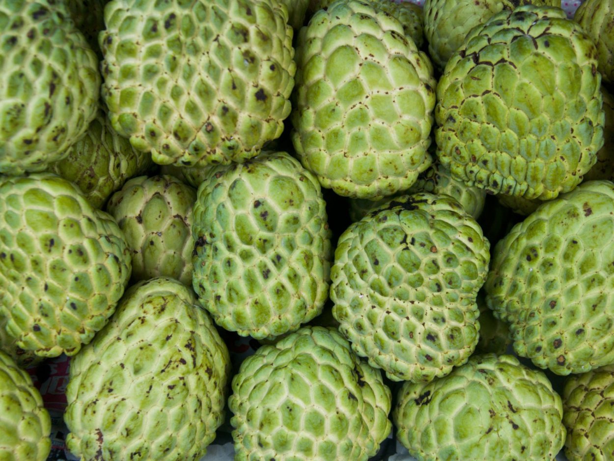 Кивано Африканский огурец