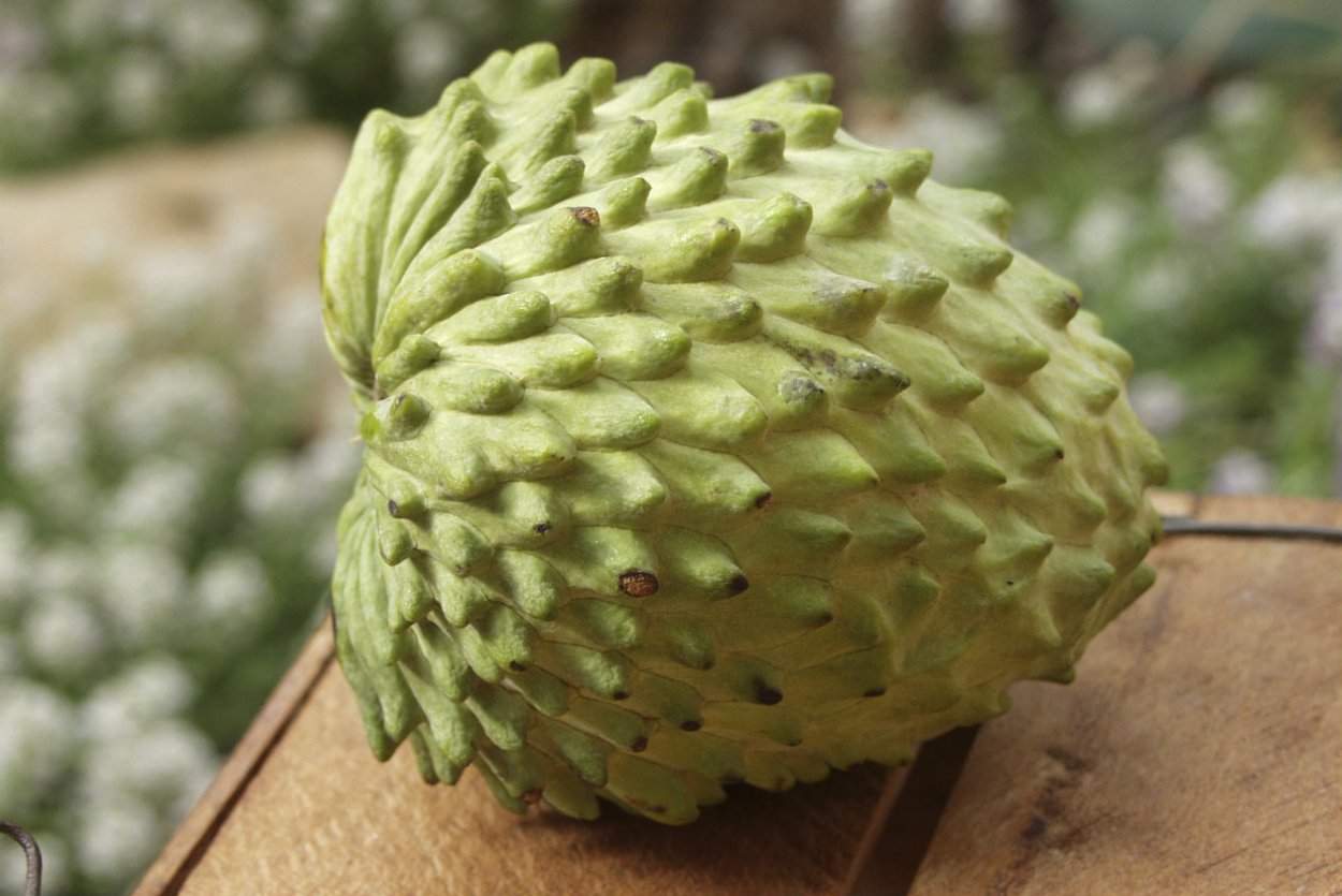 Киви, гуанабана, маракуйя