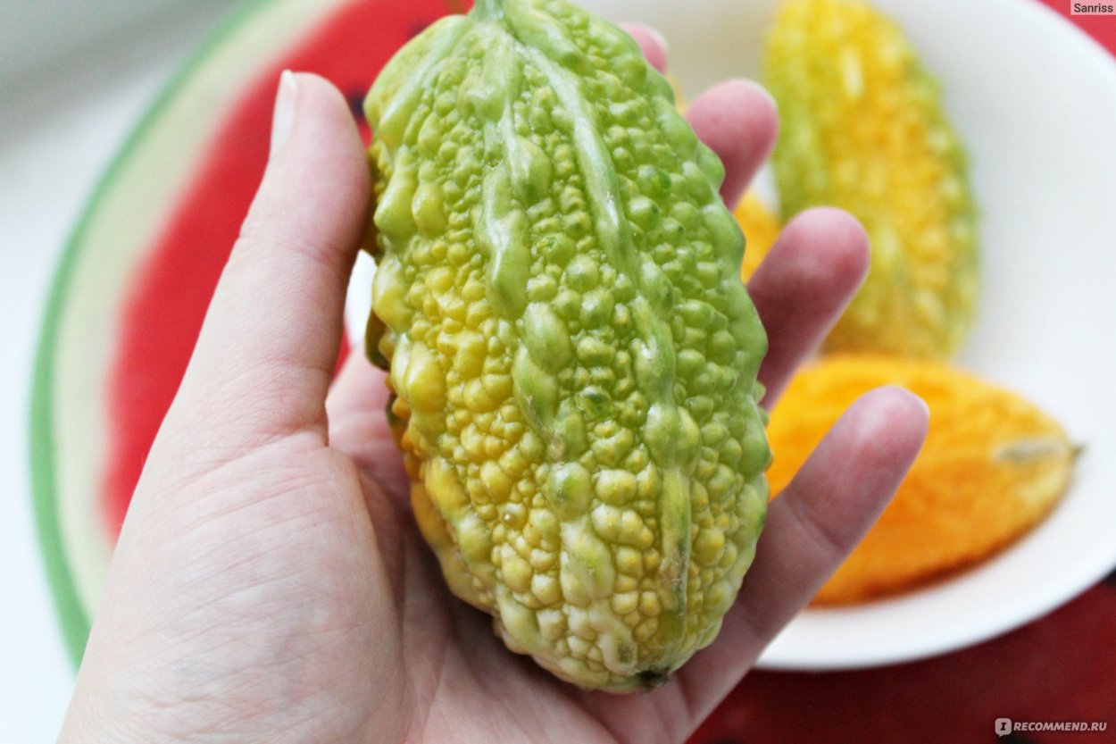 Кивано Африканский огурец