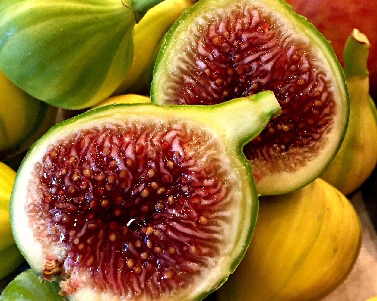 Инжир Паначе