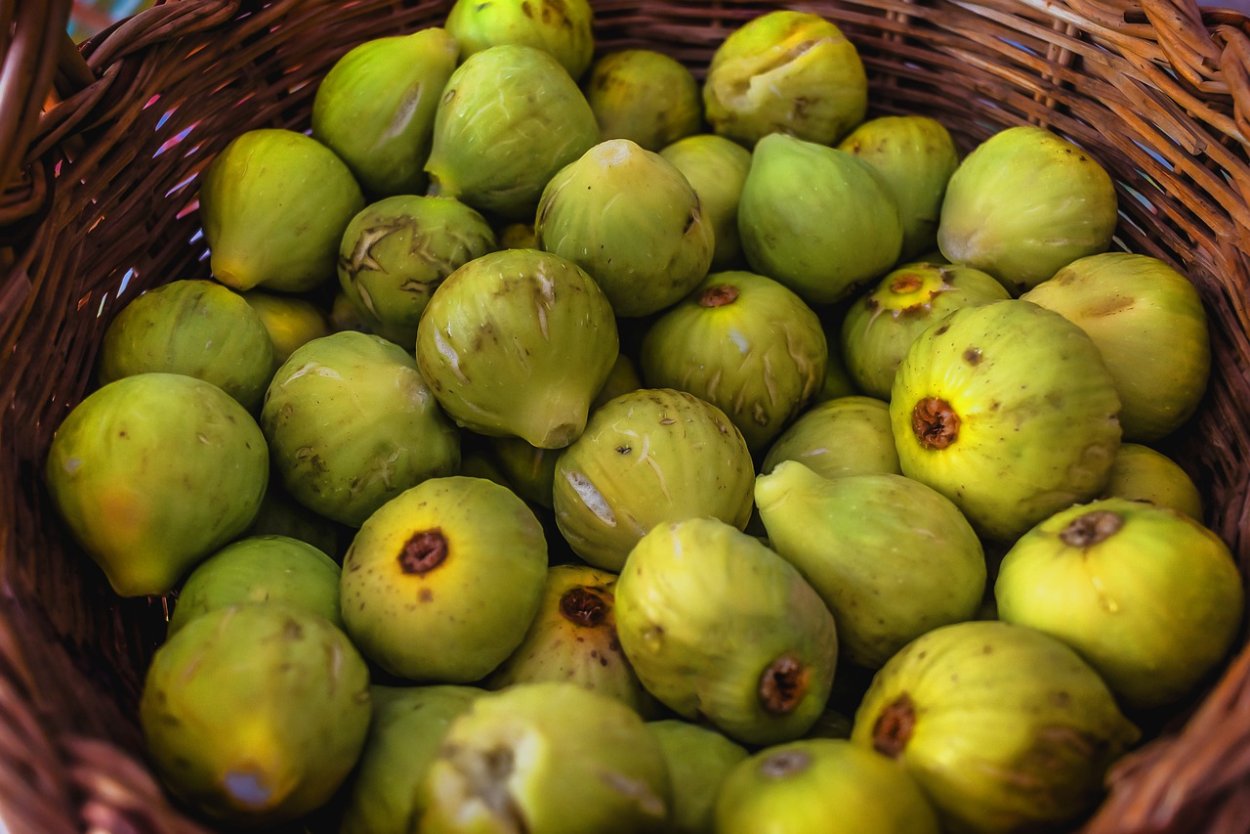 Инжир зеленый