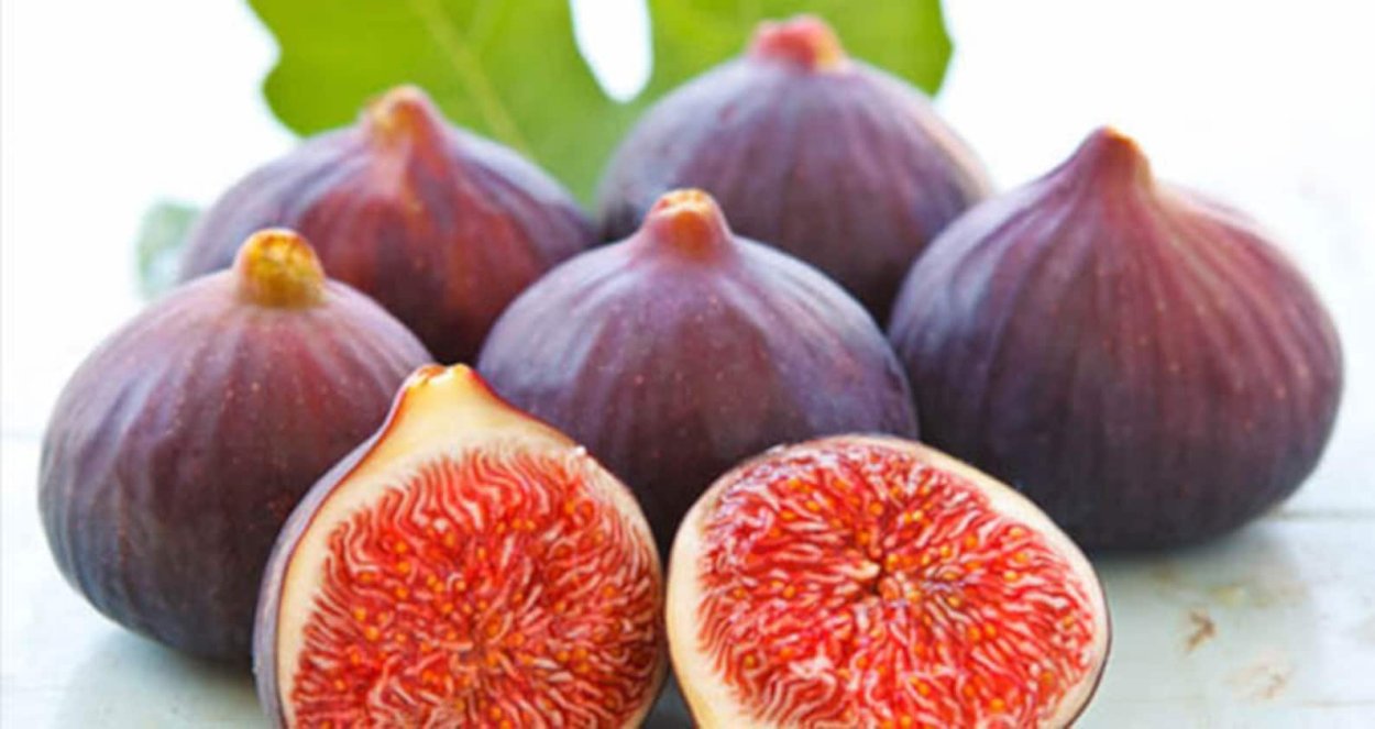 Инжир Lebanese Black