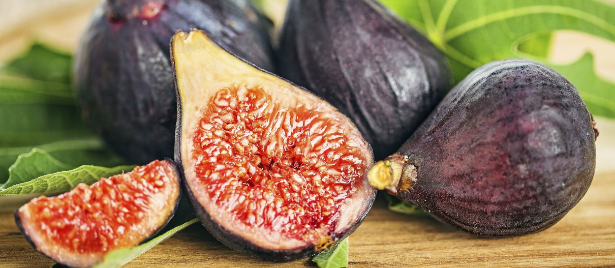 Инжир сорт Далматский